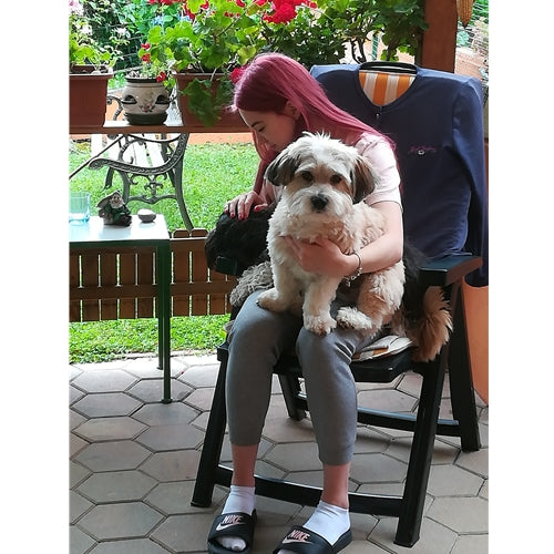 Mr.Pet spletna trgovina