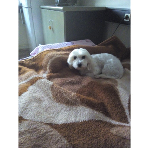 Mr.Pet spletna trgovina