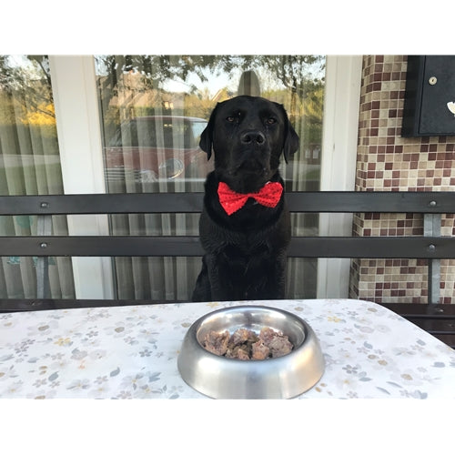 Spletna trgovina Mr.Pet