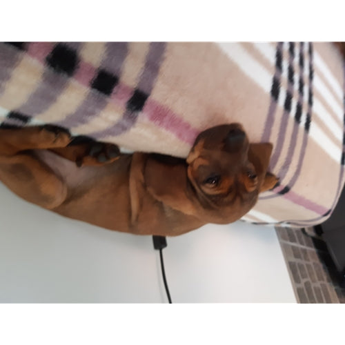 Mr.Pet spletna trgovina