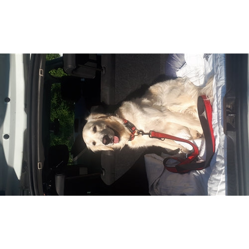 Mr.Pet spletna trgovina