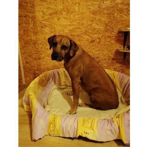 Mr.Pet spletna trgovina