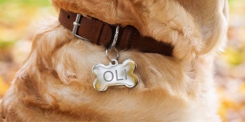 Mr.Pet spletna trgovina