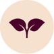 ikona