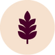 ikona
