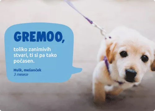 Spletna trgovina Mr.Pet