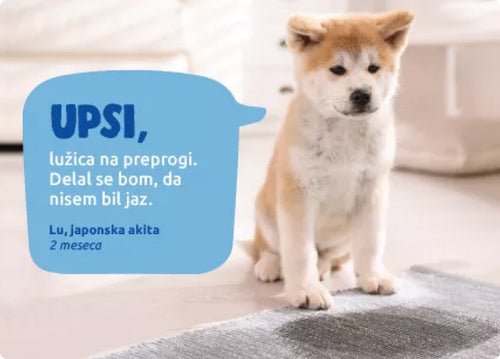 Spletna trgovina Mr.Pet