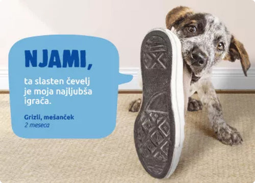 Spletna trgovina Mr.Pet