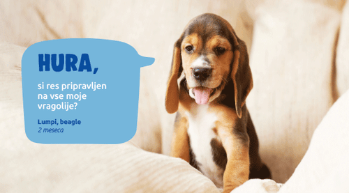 Spletna trgovina Mr.Pet