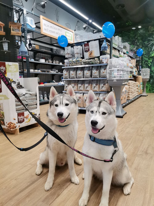 Spletna trgovina Mr.Pet