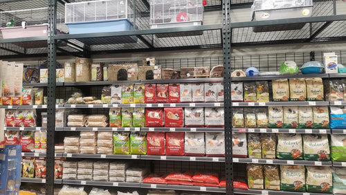 Spletna trgovina Mr.Pet