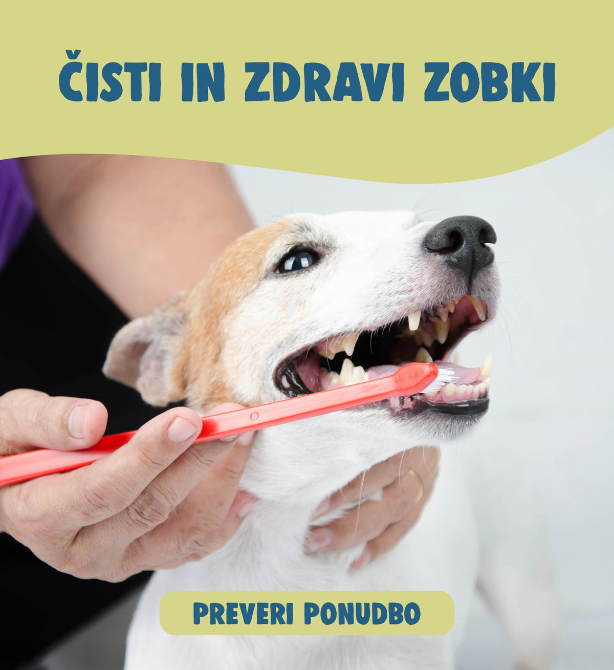Mr.Pet spletna trgovina