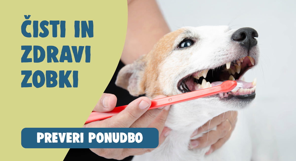 Mr.Pet spletna trgovina