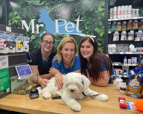 Spletna trgovina Mr.Pet