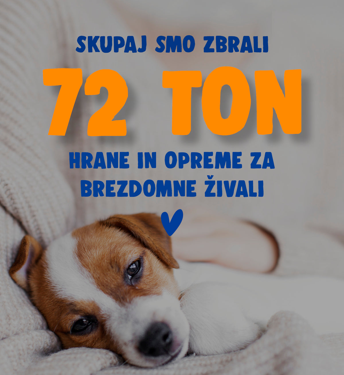 Mr.Pet spletna trgovina