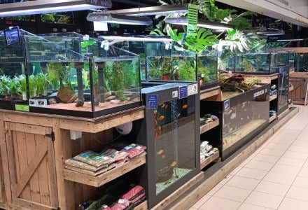 Spletna trgovina Mr.Pet