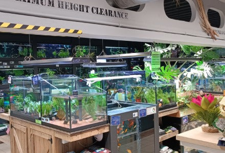 Spletna trgovina Mr.Pet