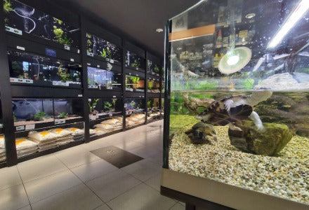 Spletna trgovina Mr.Pet