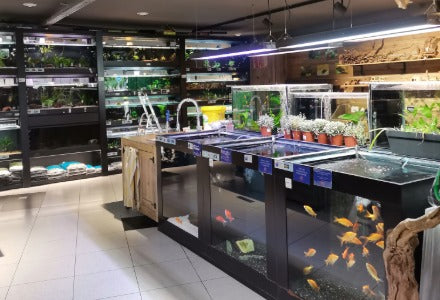 Spletna trgovina Mr.Pet