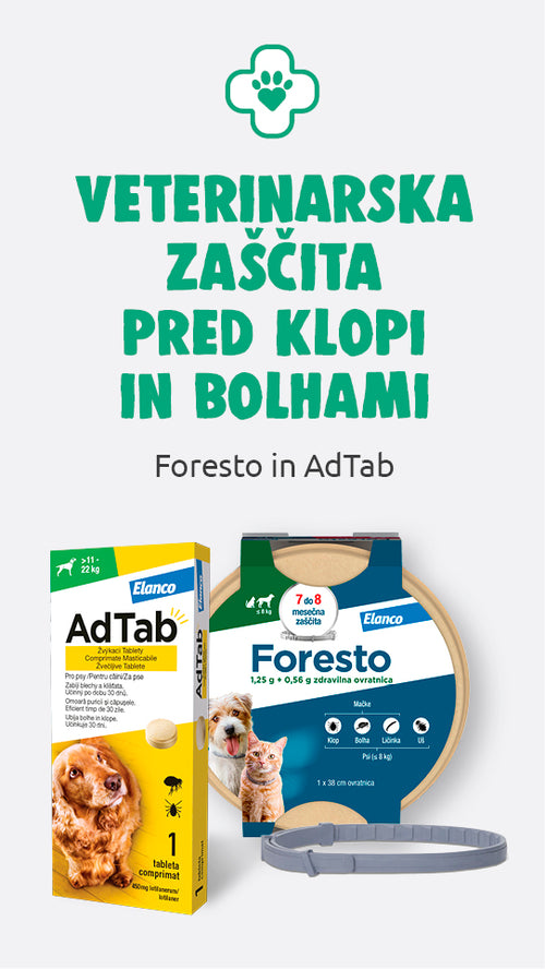 Spletna trgovina Mr.Pet