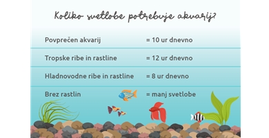 Pomembnost svetlobe v akvariju