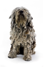 Bergamasco Shepherd Dog (Cane da pastore Bergamasco)
