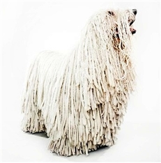 Komondor