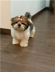 Fiona