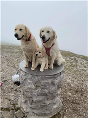 Lisa, Lia in Maddy