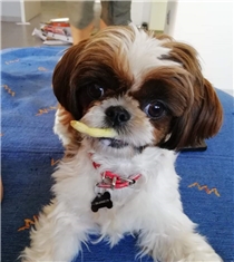 EBI
