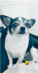 Mia