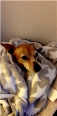 Lola