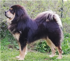 Dagpa