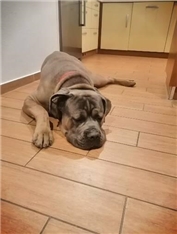 Tyson