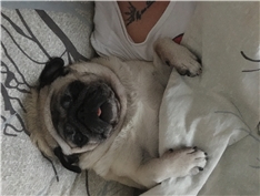 Lola