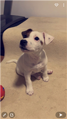 Jack