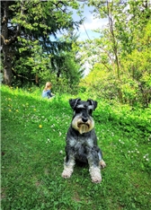 Feliks