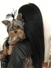 Zoya