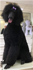 Oona