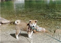 Yuki