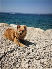 Lina