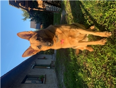Lili