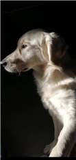 Gina