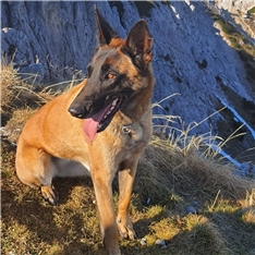 Lu