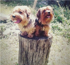 Boa&Jack
