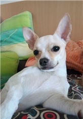 Piki