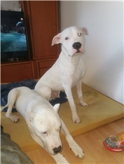 Atos & Zeus