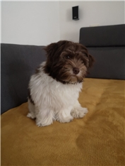 Jack