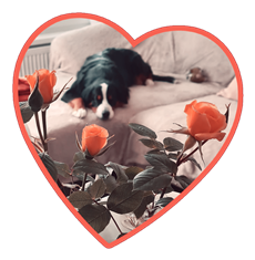 Bea