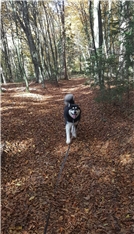 Jack